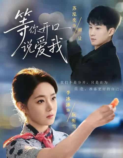 等你开口说爱我（60集全）苏泓奕＆李冰冰-搜外项目网
