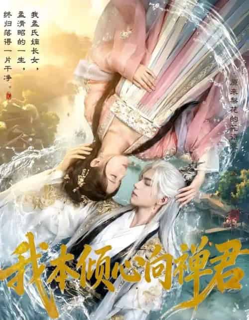 我本倾心向禅君（65集全）AI-搜外项目网