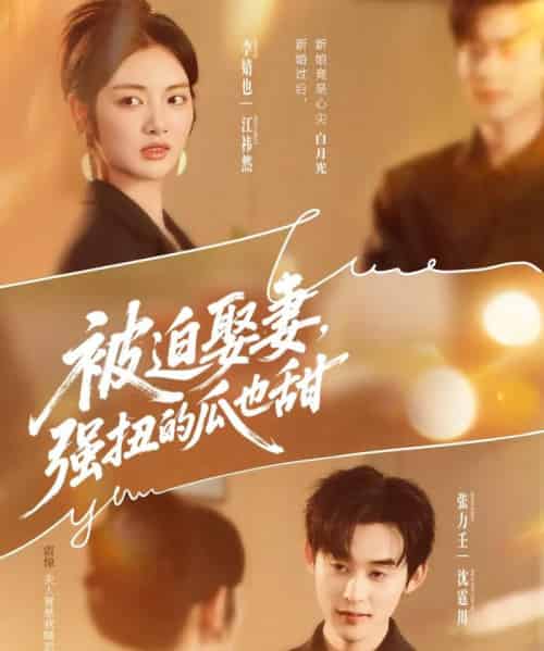 被迫娶妻强扭的瓜也甜＆被迫娶妻，强扭的瓜也甜（73集全）张力壬＆李婧也-搜外项目网