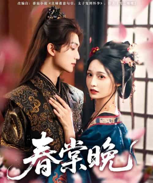 春棠晚(81集)王培延&甜九洛-搜外项目网