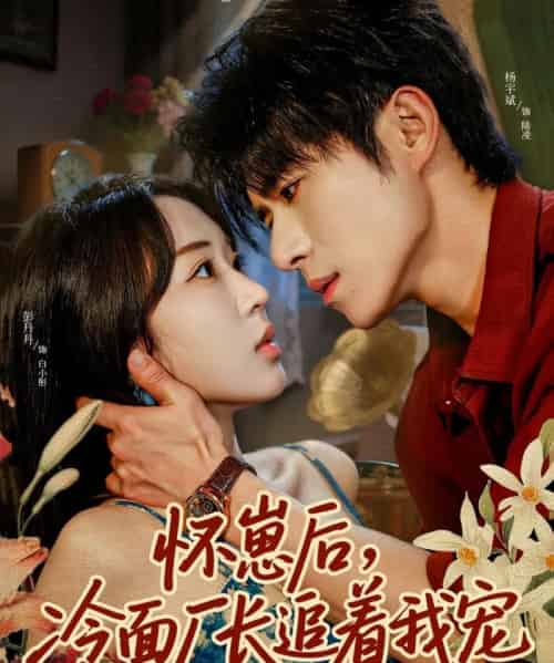 怀崽后，冷面厂长追着我宠（80集全）杨宇斌＆彭丹丹-搜外项目网