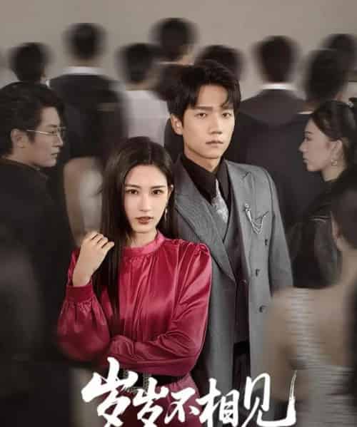 岁岁不相见(60集)梅瑞滢-搜外项目网