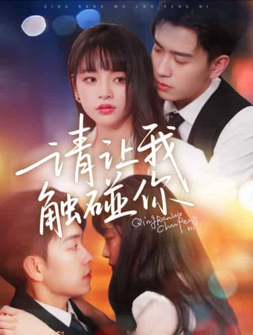请让我触碰你（77集）石佳＆林津伊-搜外项目网