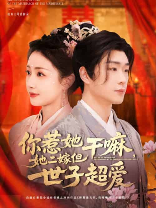 你惹她干嘛，她二嫁但世子超爱（79集）刘博洋＆岳玥-搜外项目网