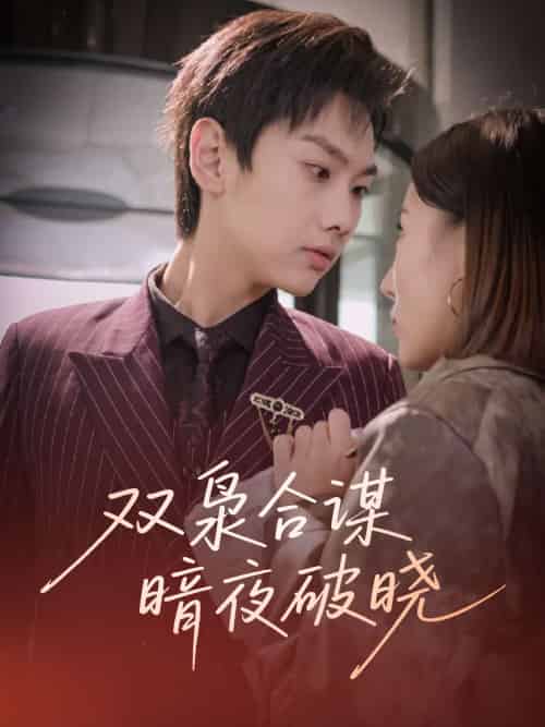 双枭合谋暗夜破晓(30集)刘松涛&刘安然-搜外项目网