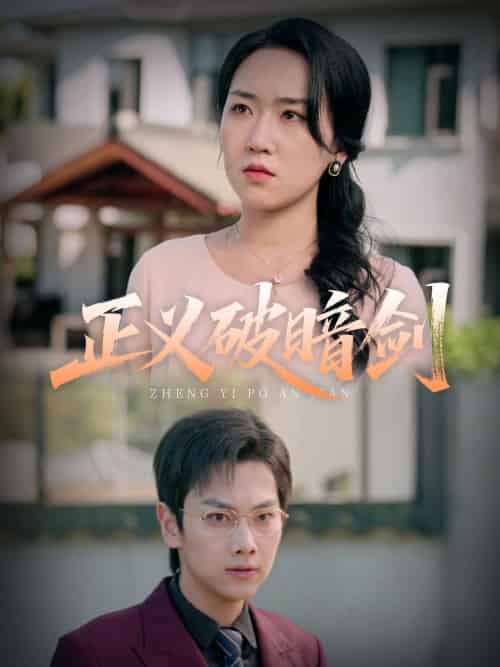 正义破暗剑(31集)刘松涛&刘小瑜-搜外项目网