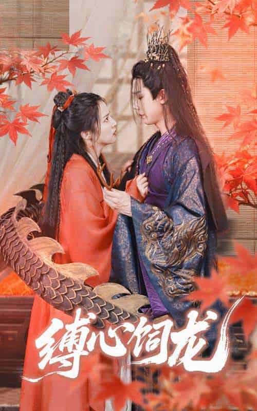 缚心饲龙（70集）何连飞＆朱诗妤-搜外项目网