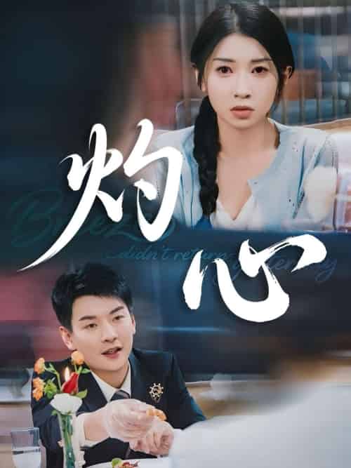 灼心（60集）田诗媛＆杨川北-搜外项目网