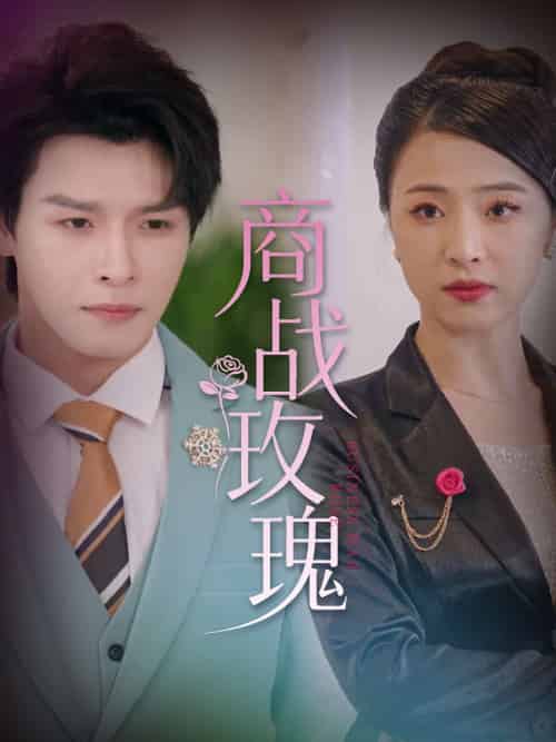 商战玫瑰(30集)王思齐&李彬航-搜外项目网