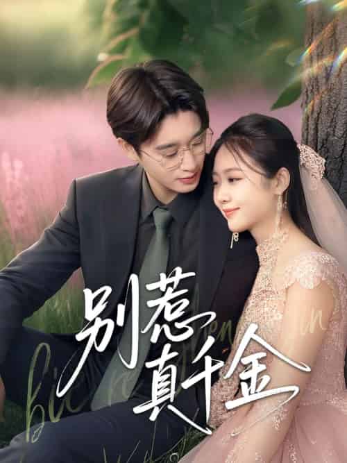 别惹真千金(35集)曾国翔&邓雯馨-搜外项目网