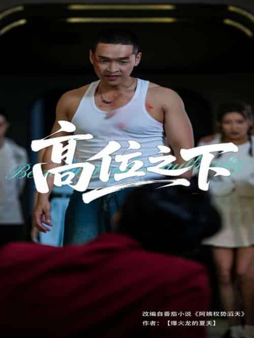 高位之下(65集)张家嘉&赵龙-搜外项目网