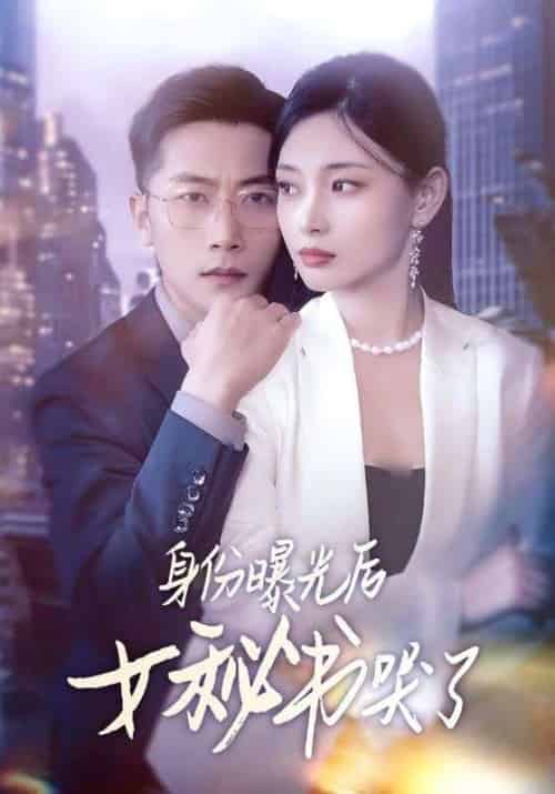 身份曝光后女秘书哭了（31集）刘雪君＆张家川-搜外项目网