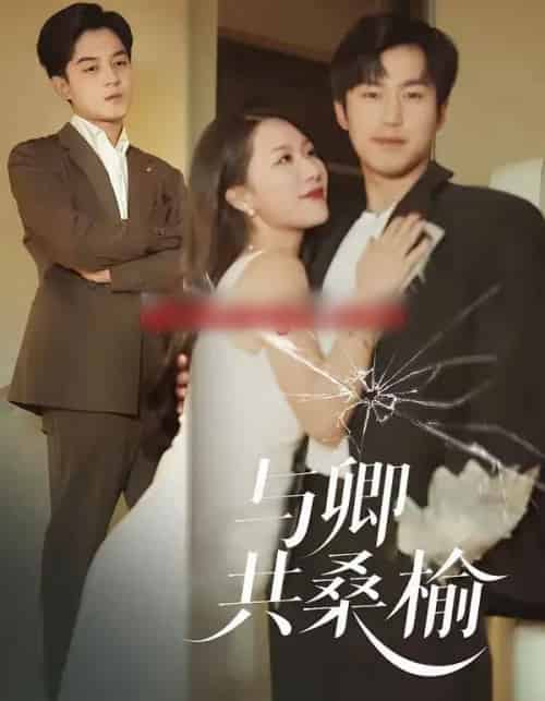 与卿共桑榆（63集全）贺龙天＆钟嘉玲-搜外项目网