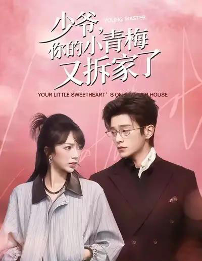 少爷，你的小青梅又拆家了（61集全）张铭文＆武伯言-搜外项目网