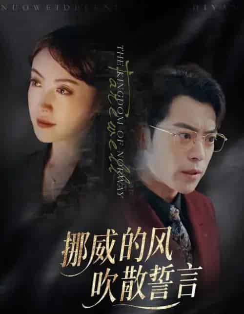 挪威的风,吹散誓言(60集全)岳玉航&周樾-搜外项目网
