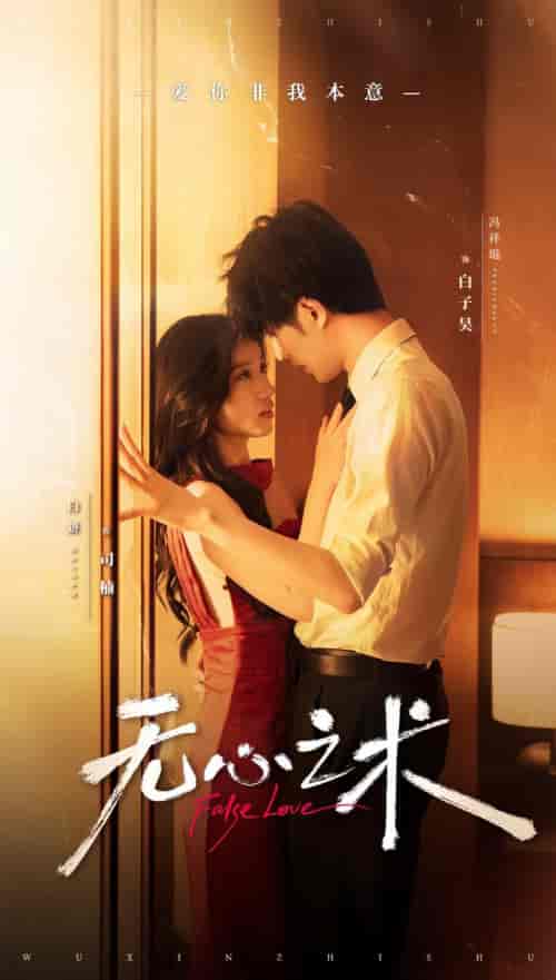 无心之术(63集全)冯祥琨&白妍-搜外项目网