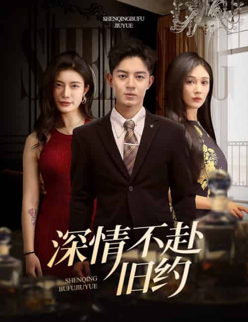 深情不赴旧约（50集全）刘月涛＆党孟宇＆宗白铧-搜外项目网