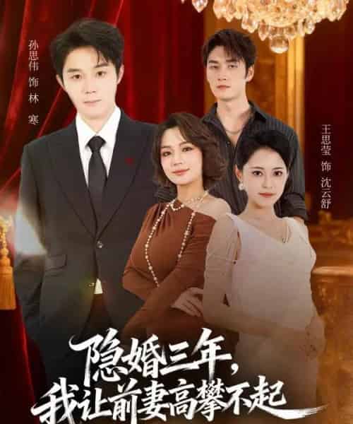 隐婚三年我让前妻高攀不起＆身份曝光后我成前妻白月光（85集全）孙思伟＆王思莹-搜外项目网