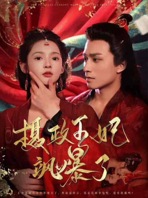 摄政王妃飒爆了（99集全） 觅七＆王皓祯-搜外项目网