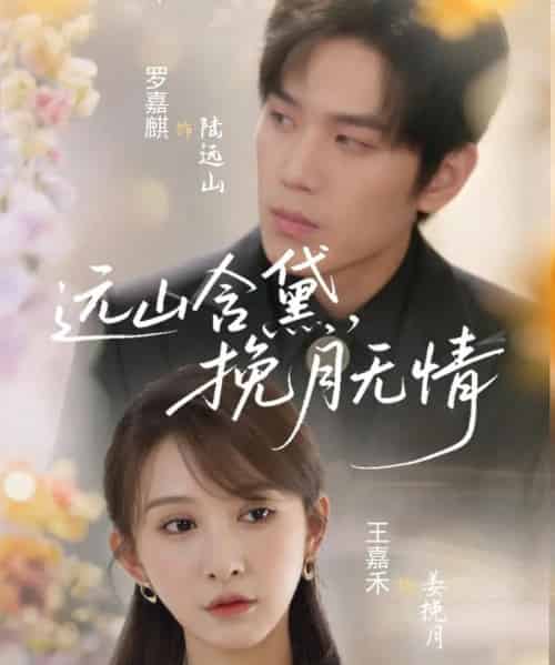 远山含黛，挽月无情（63集）罗嘉麒＆王嘉禾-搜外项目网