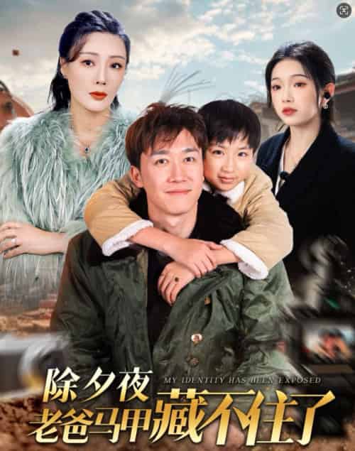 除夕夜老爸马甲藏不住了（35集）彭剑雄-搜外项目网