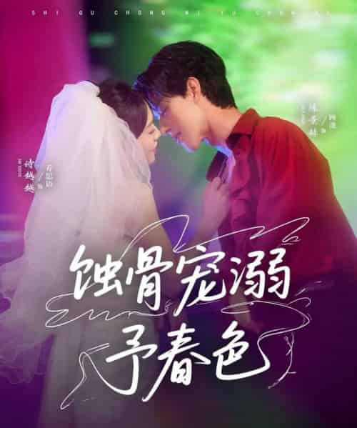 蚀骨宠溺予春色（70集）陈景赫＆诗越越-搜外项目网