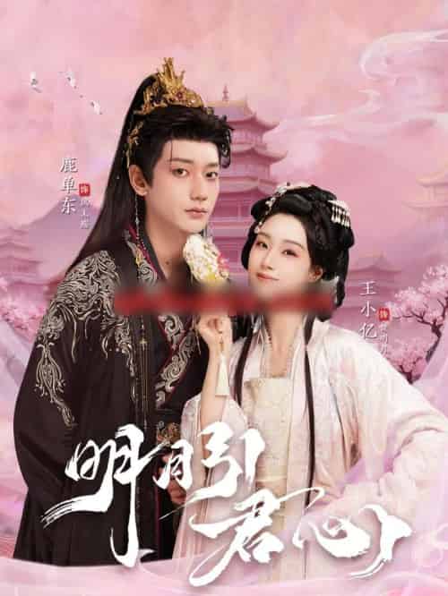 明月引君心（74集全）王小亿＆鹿单东-搜外项目网