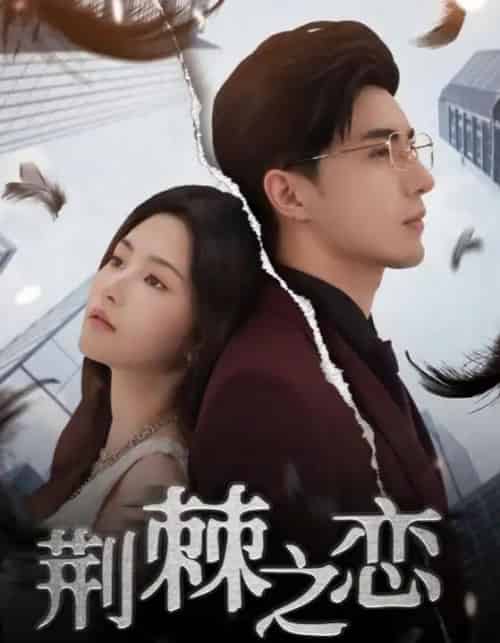 荆棘之恋(60集)李柏言&周妍坤-搜外项目网