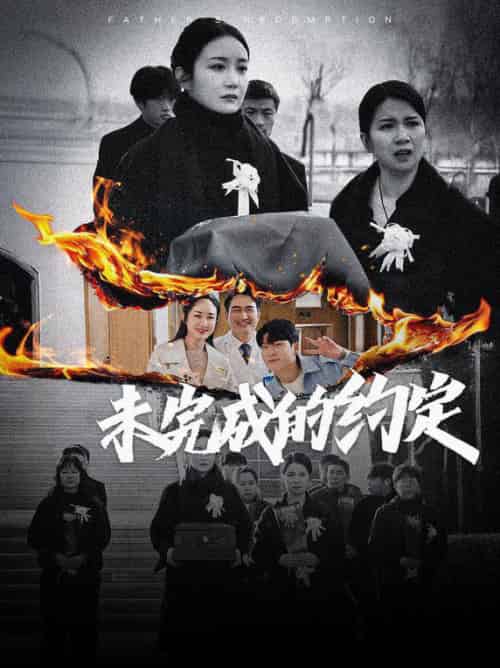 未完成的约定（40集全）潘依祎-搜外项目网