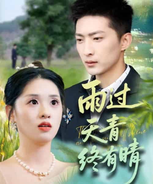 雨过天青终有晴（64集）王石＆魏依珂-搜外项目网