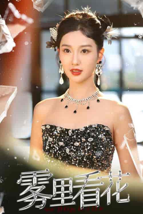 雾里看花(25集全)陈云廷&魏凡舒-搜外项目网