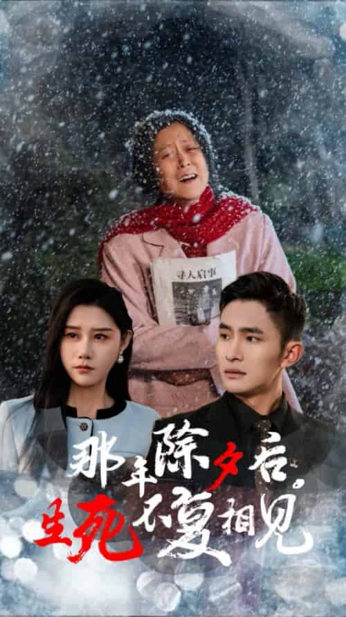 那年除夕后生死不复相见（48集）魏昕怡-搜外项目网