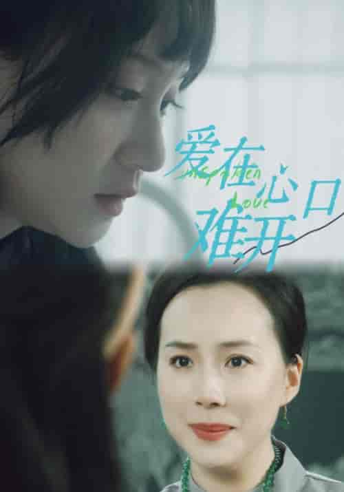 爱在心口难开（97集）吴婧鑫-搜外项目网