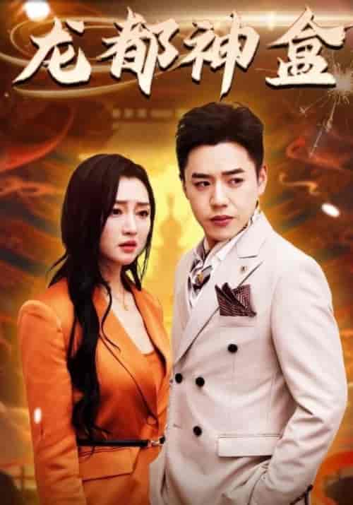 龙都神盒（78集全）林飞＆顾念心-搜外项目网