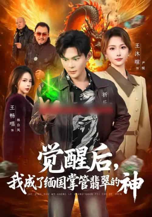 觉醒后,我成了缅国掌管翡翠的神(71集全)王沐暄&祈乐-搜外项目网