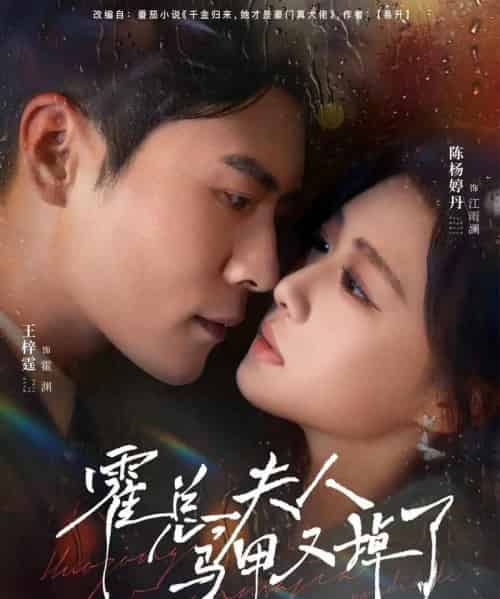 霍总,夫人马甲又掉了(80集全)王梓霆&陈杨婷丹-搜外项目网