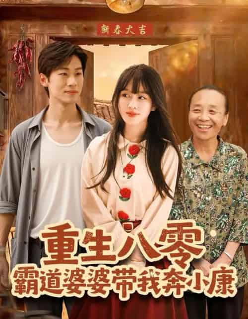 重生八零霸道婆婆带我奔小康（87集全）林煜岩＆陈朝玉-搜外项目网