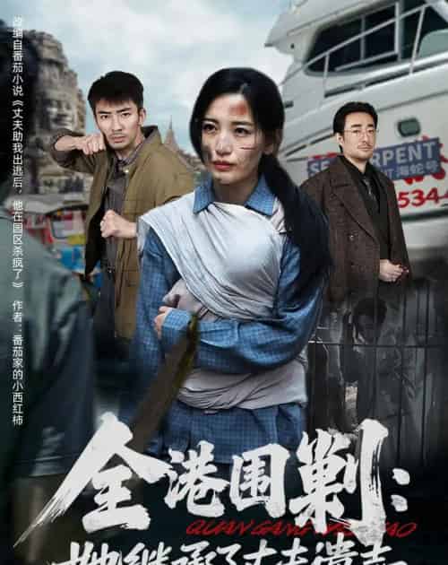 全港围剿：她继承了丈夫遗志（84集全）李雪莹＆张瀚文-搜外项目网