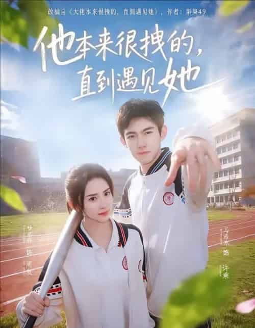 他本来很拽的，直到遇见她＆在她的世界崩塌之前（79集全）马浩东＆杨洛仟-搜外项目网