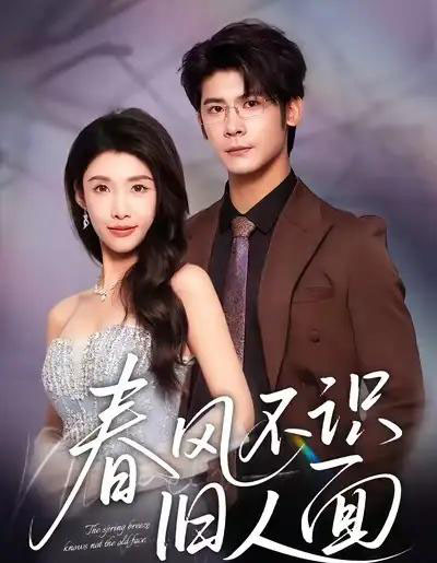 春风不识旧人面(48集全)叶一宸&陈慧琳-搜外项目网