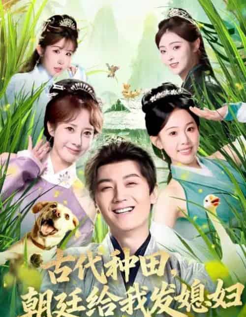 古代种田,朝廷给我发媳妇(81集全)刘子洋&倪浩森-搜外项目网