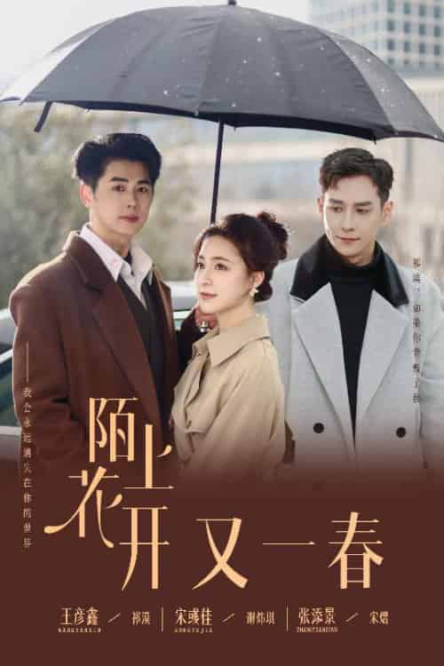 陌上花开又一春(49集全)王彦鑫&宋彧佳&张添景-搜外项目网