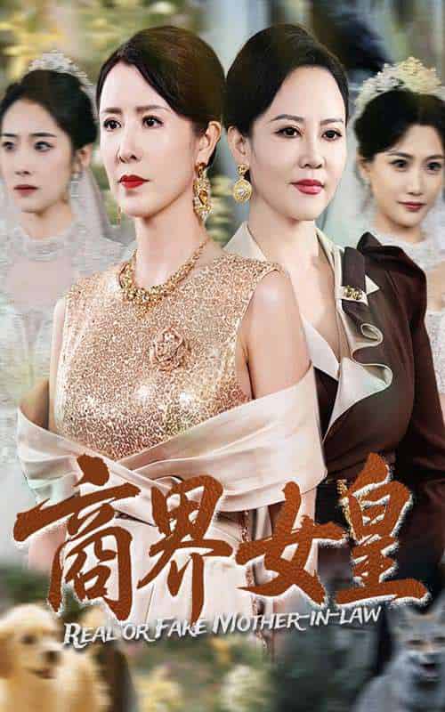 商界女皇(70集)金大钟&刘美希-搜外项目网