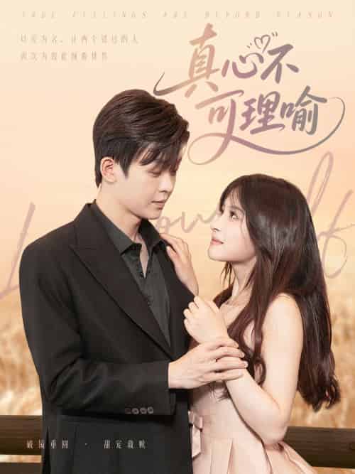 真心不可理喻（81集）廖家昊＆赵飞雪-搜外项目网