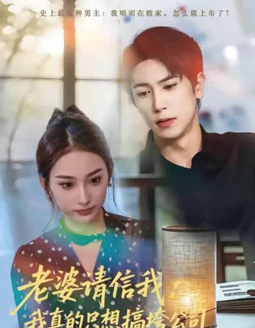 老婆请信我:我真的只想搞垮公司(70集全)张星叙&鹿瑶-搜外项目网