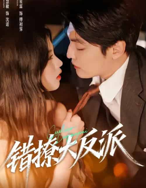错撩大反派（76集全）李星霖＆潘慧敏-搜外项目网