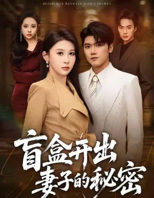 盲盒开出妻子的秘密(40集全)林嘉翊&张灵钰-搜外项目网