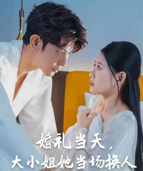 婚礼当天，大小姐她当场换人（30集）陈诺＆永琪-搜外项目网