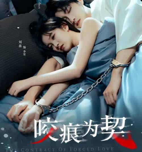 咬痕为契（76集全）张韫韬＆刘盈-搜外项目网