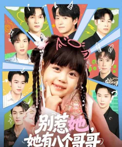 别惹她,她有八个哥哥(80集全)金大钟&陆希娅-搜外项目网